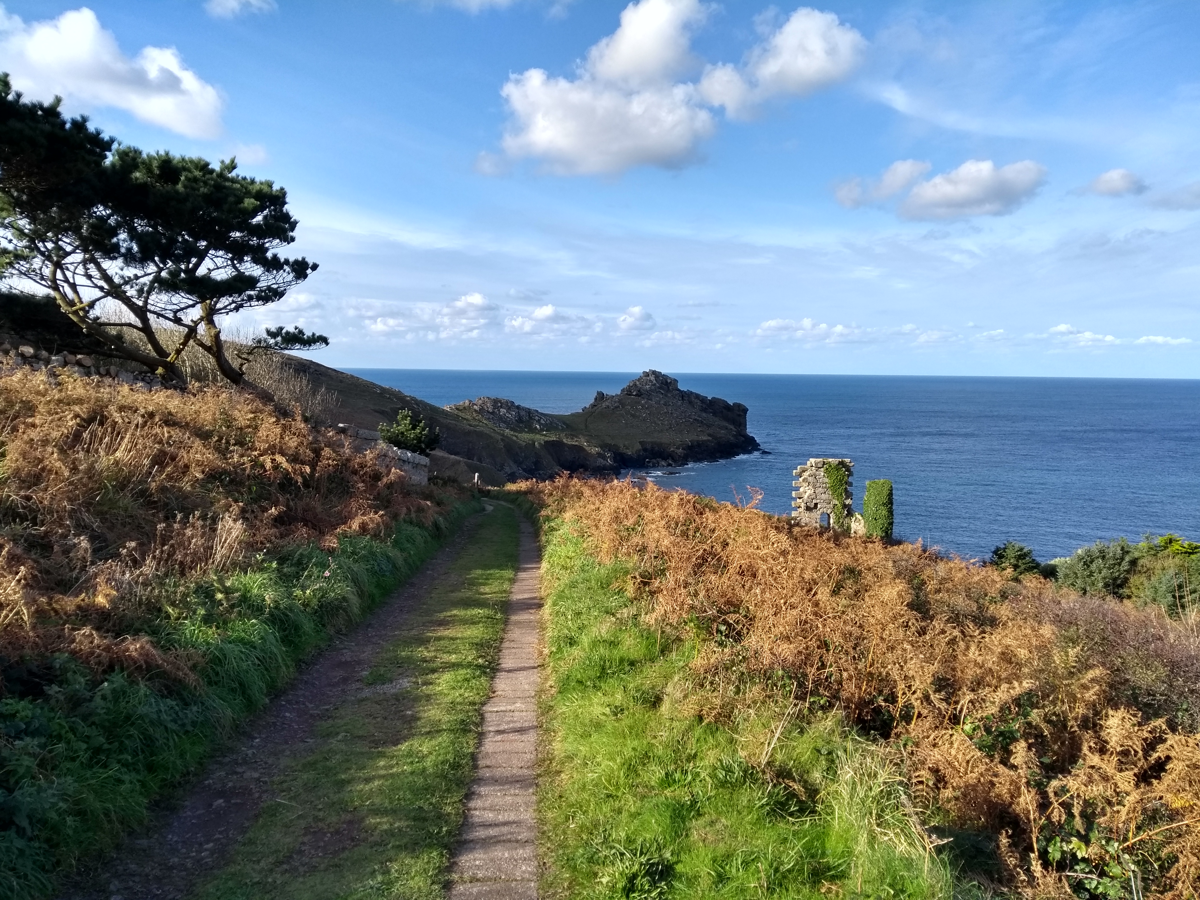 ‘A Dream of Cornwall’: a poem by Matthew Francis