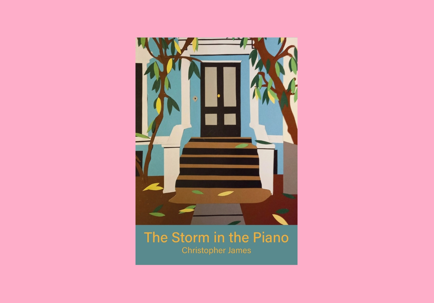 On ‘The Storm in the Piano’ by Christopher James