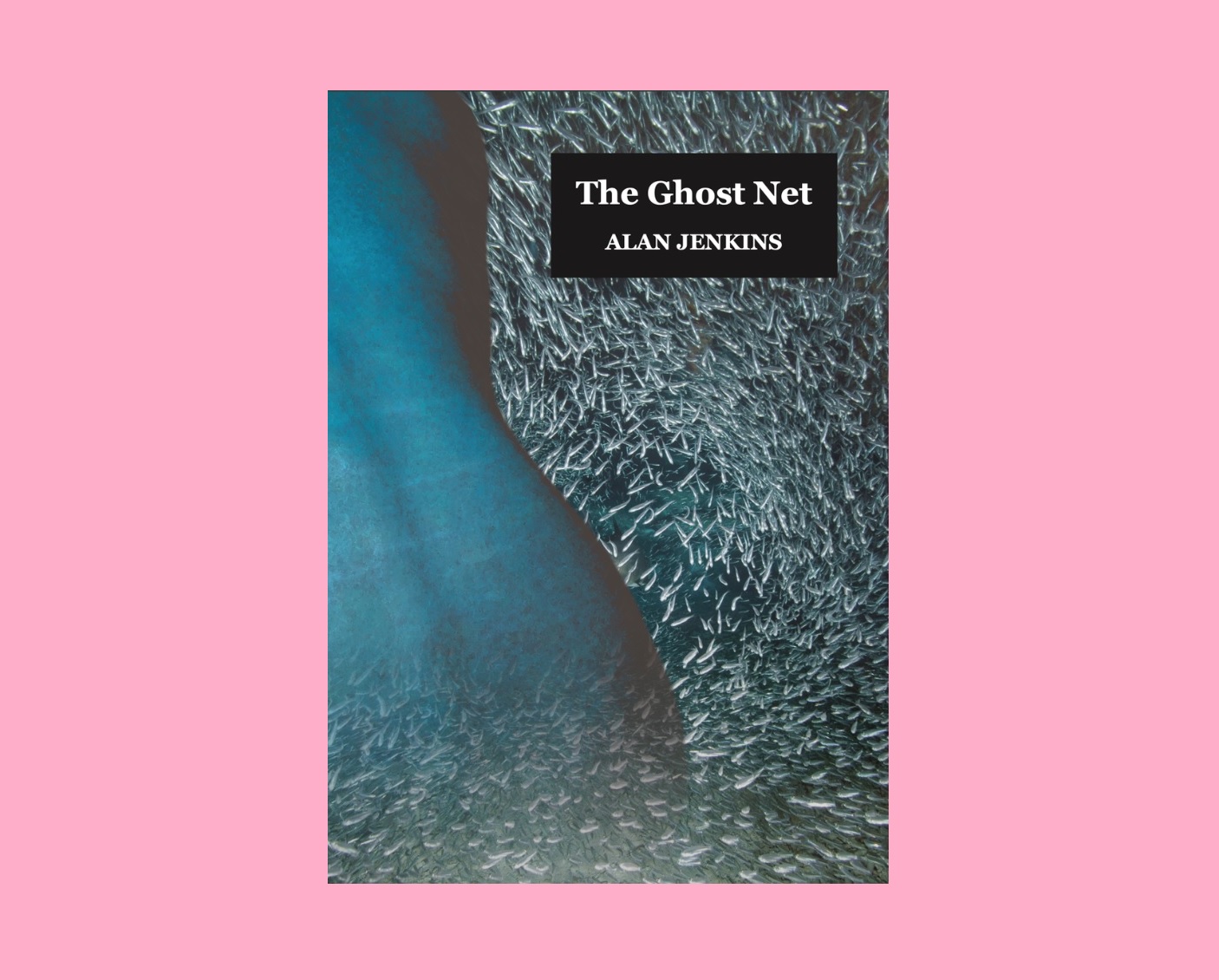 A Romantic two centuries late: ‘The Ghost Net’ by Alan Jenkins